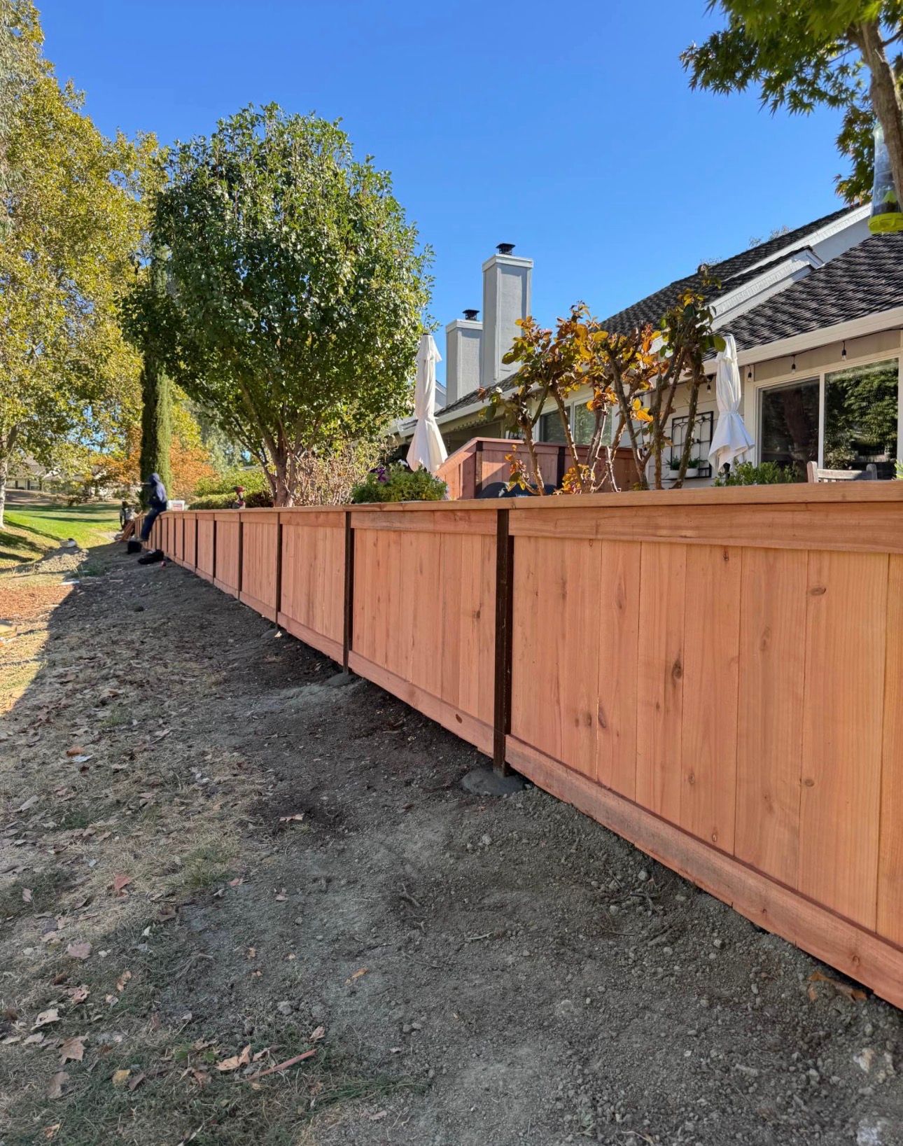 New redwood privacy fence along a backyard
