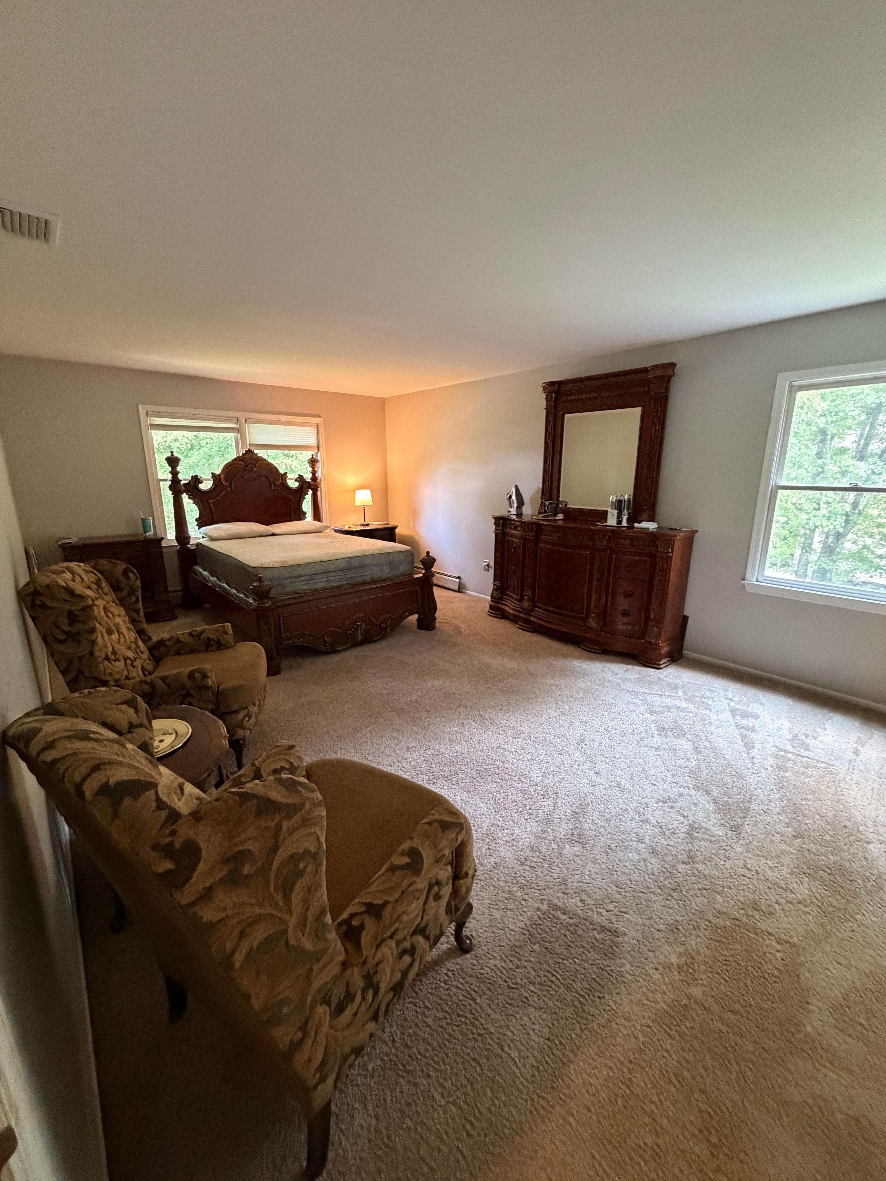 Carpet Cleaning