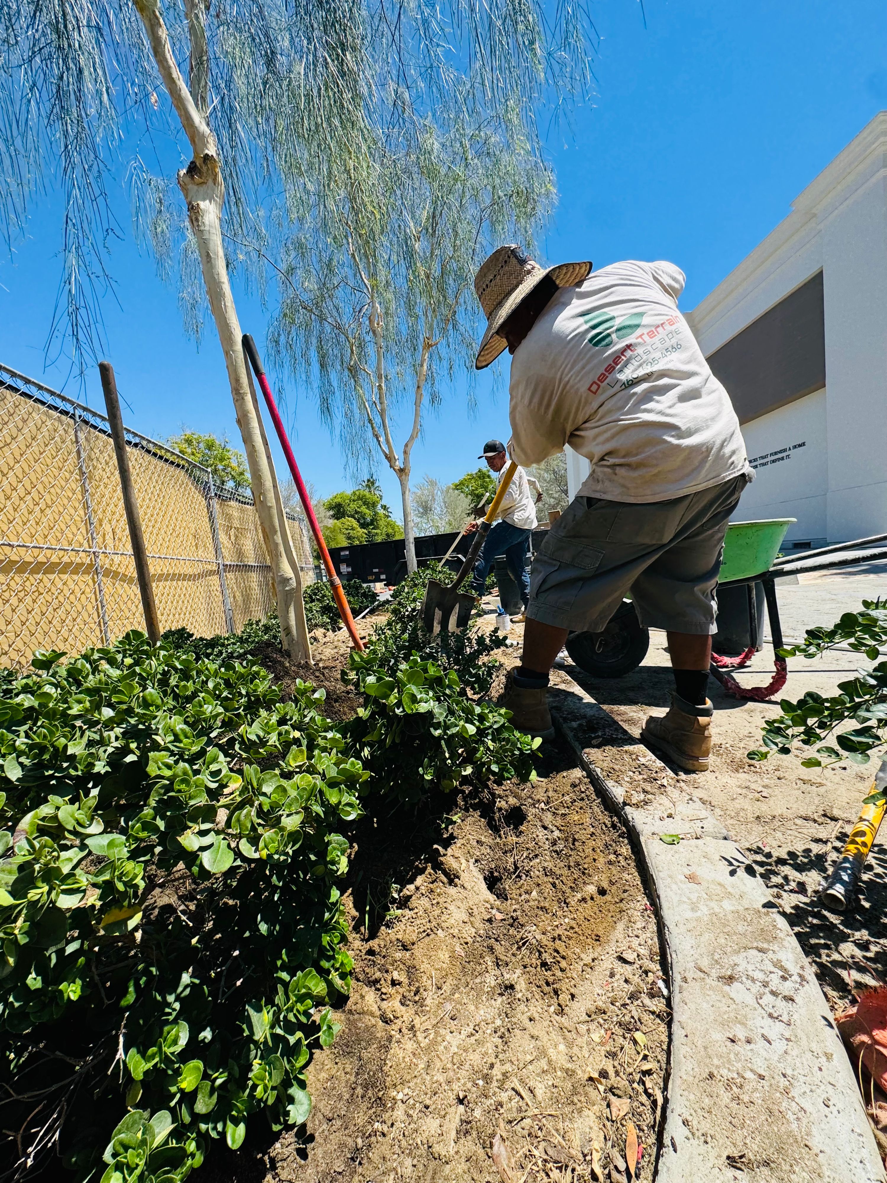 Landscaping work by Desert Terrain Landscape — photo 19 of 22