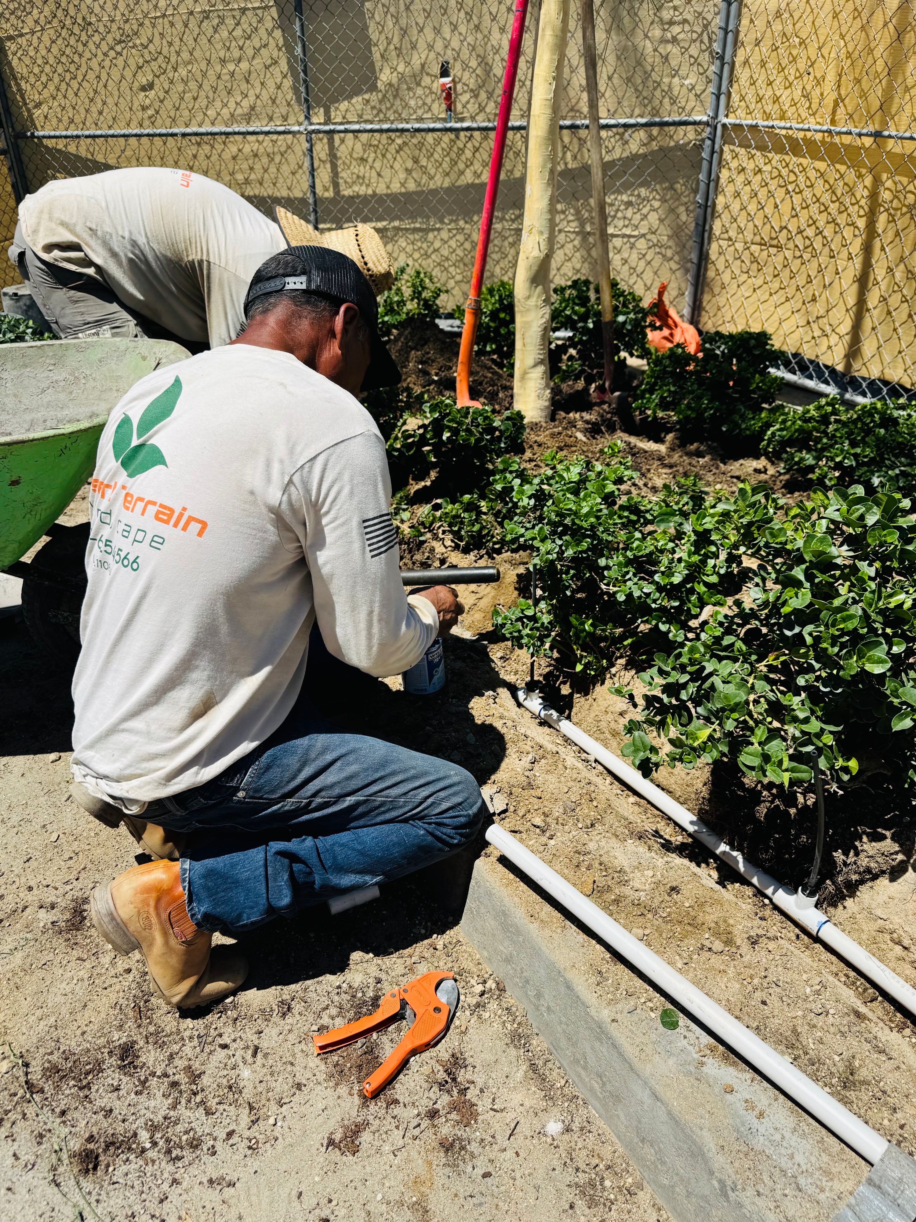 Landscaping work by Desert Terrain Landscape — photo 18 of 22