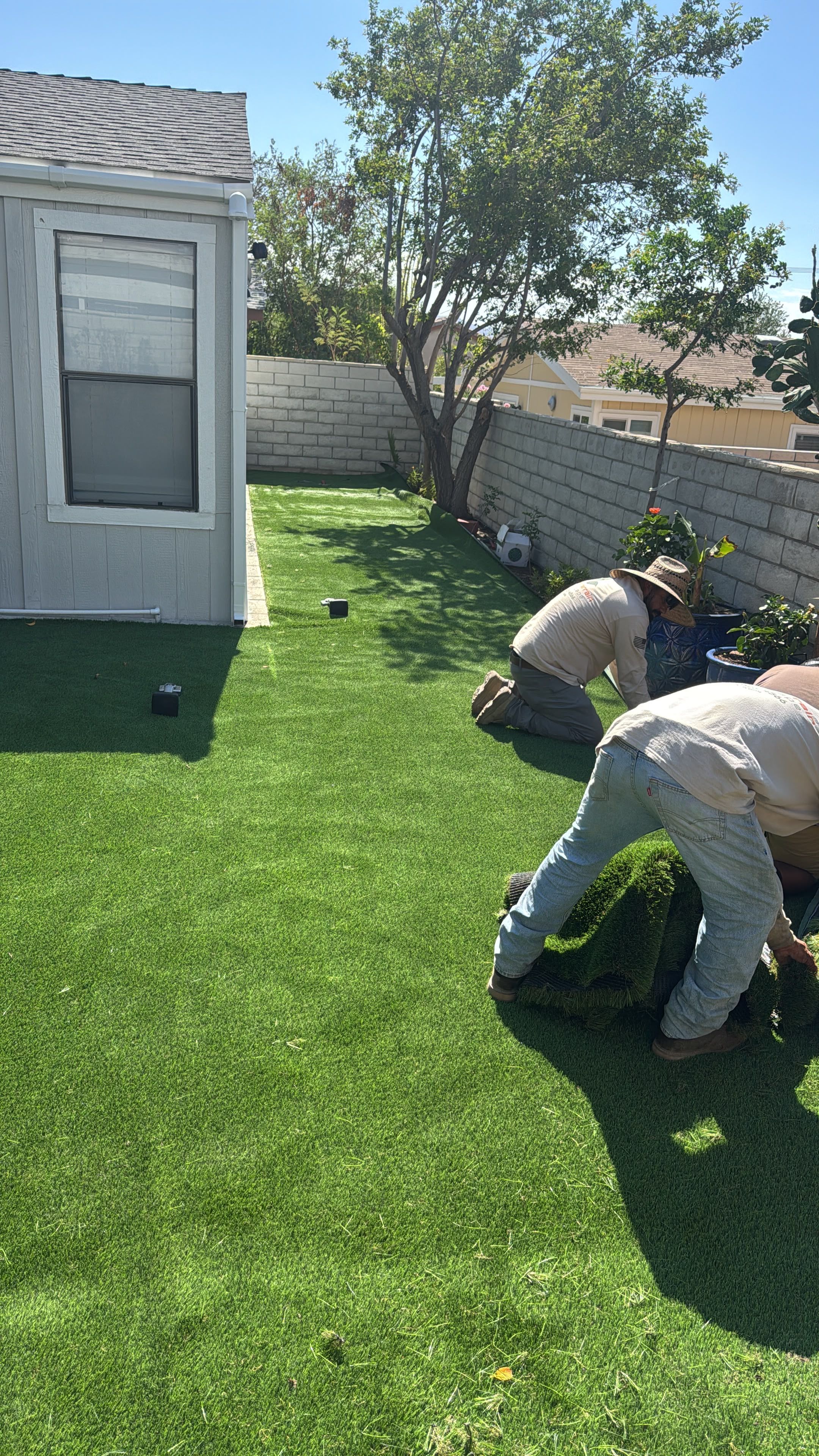 Landscaping work by Desert Terrain Landscape — photo 5 of 22