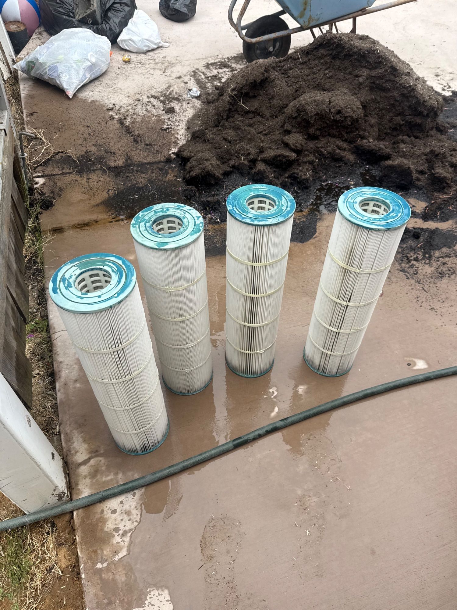 Filter, Salt Cell & Chlorine Wash