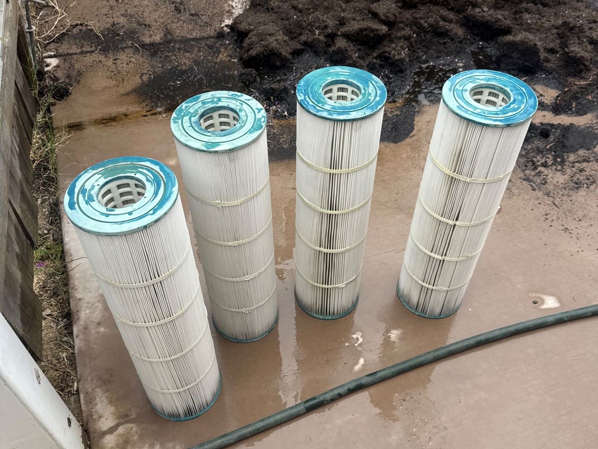 Filter, Salt Cell & Chlorine Wash