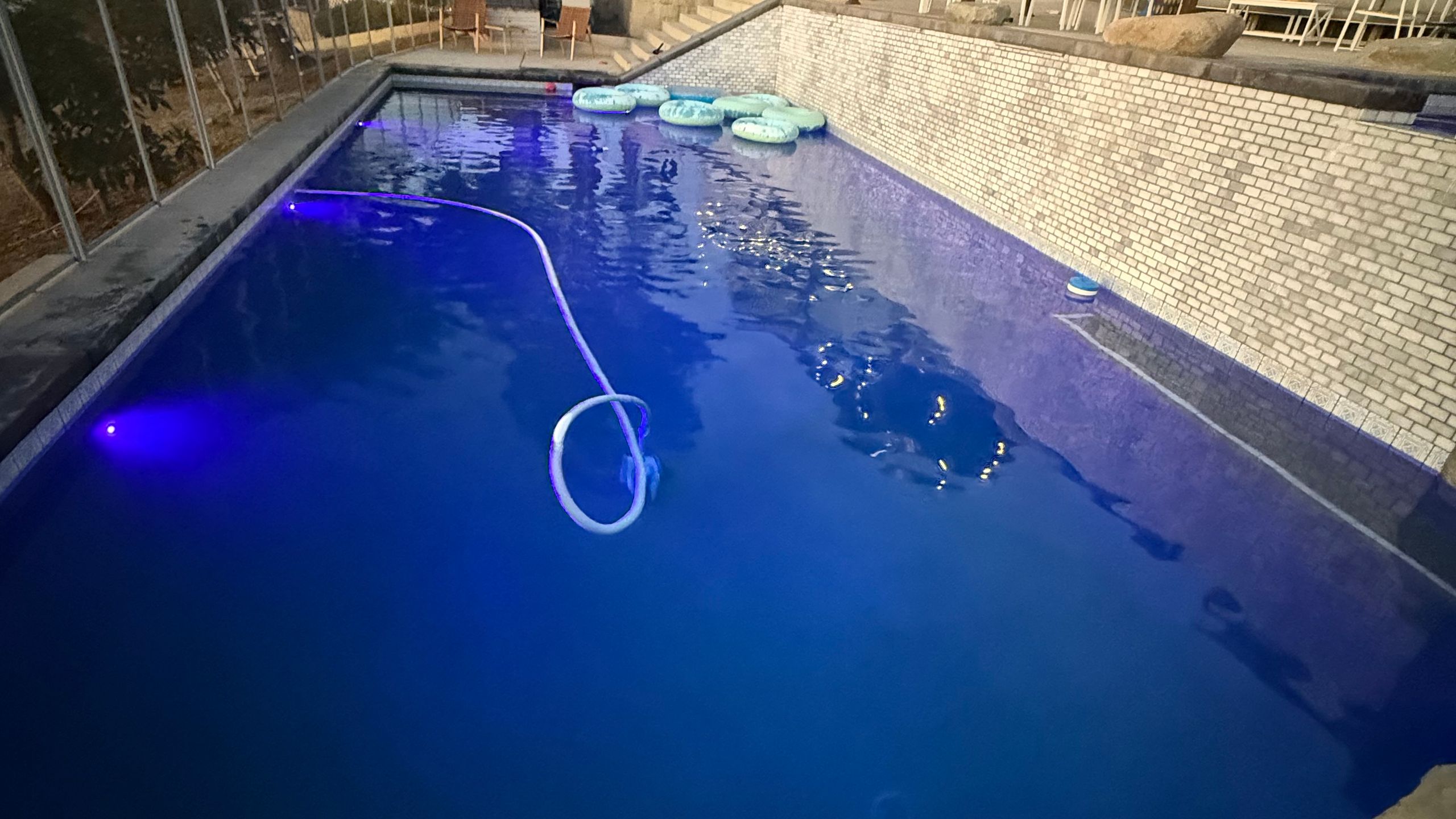 Green & Black Algae Treatment