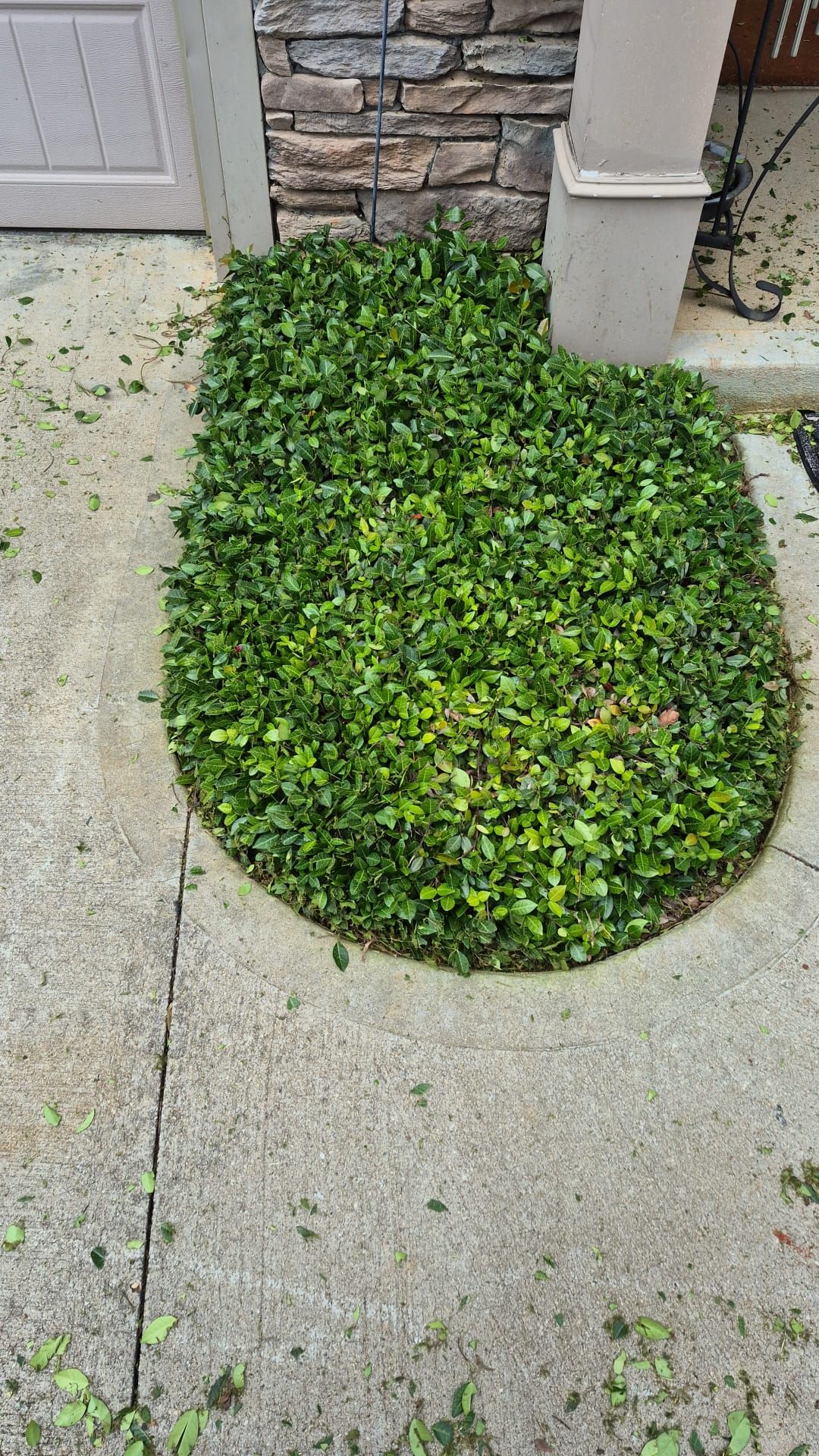 Escudero Landscaping project in the Greenville, SC area — photo 20