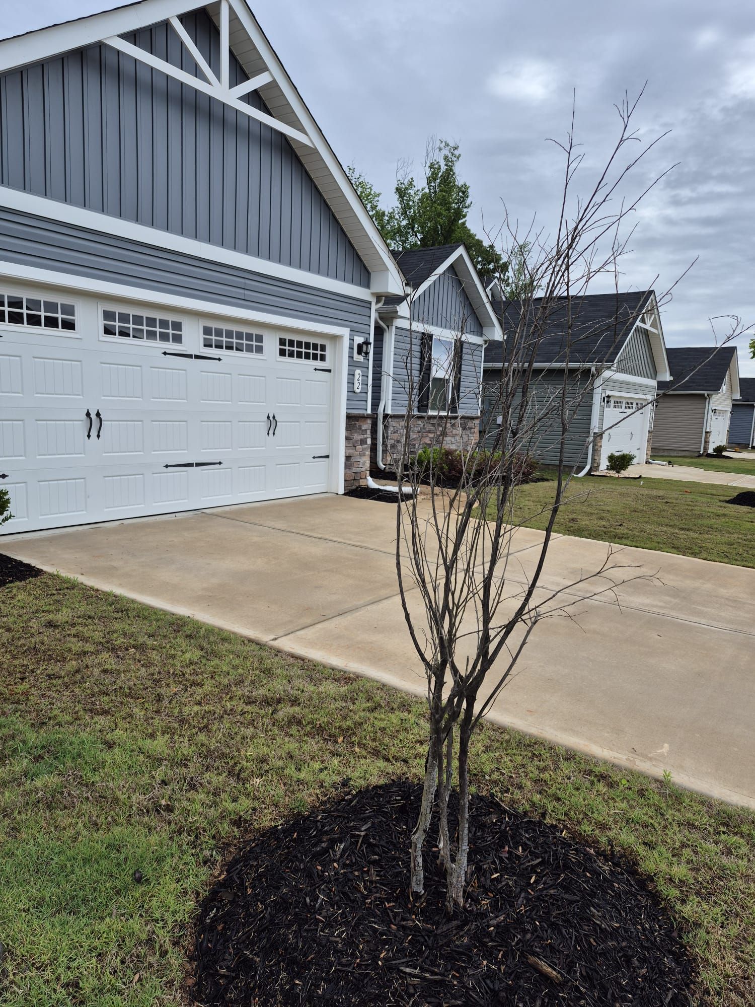 Escudero Landscaping project in the Greenville, SC area — photo 19