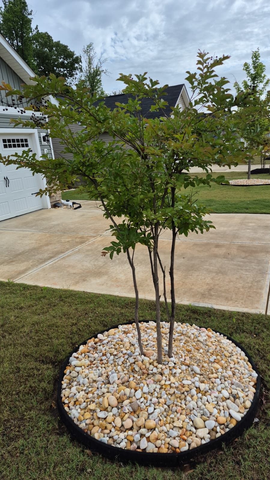 Escudero Landscaping project in the Greenville, SC area — photo 18