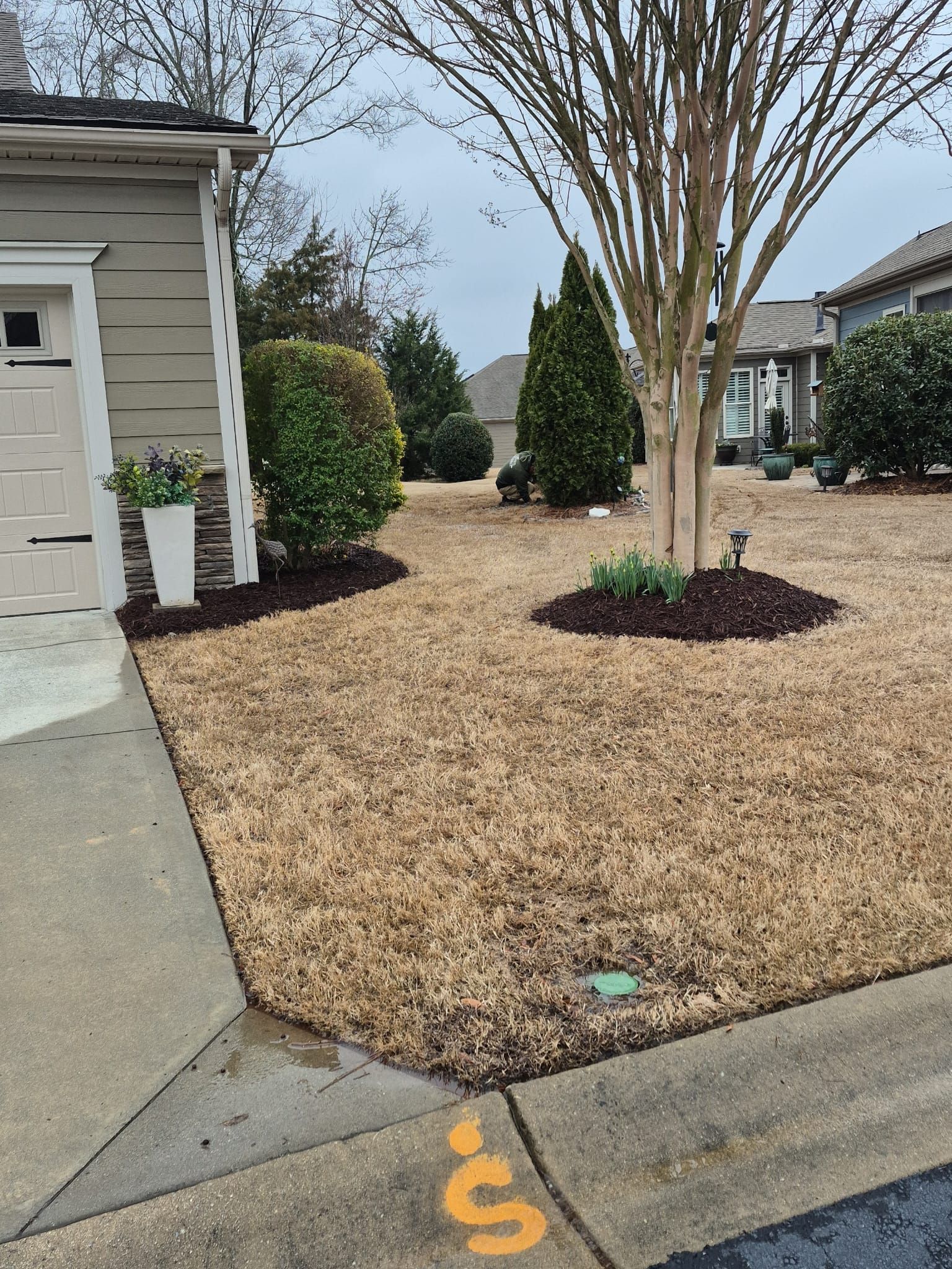 Escudero Landscaping project in the Greenville, SC area — photo 15