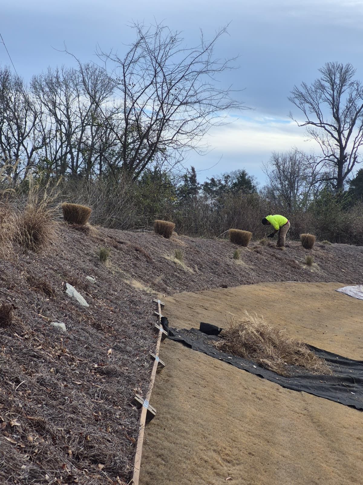 Escudero Landscaping project in the Greenville, SC area — photo 14