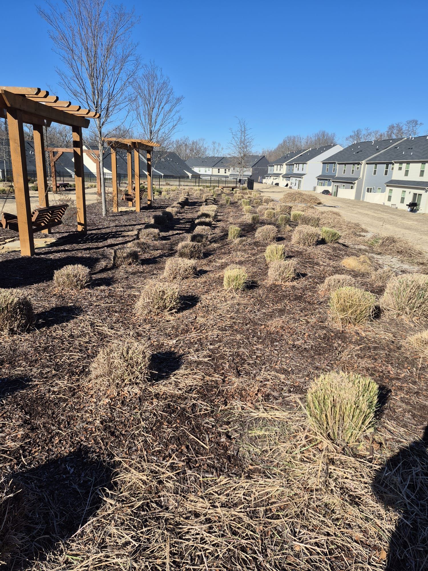 Escudero Landscaping project in the Greenville, SC area — photo 13