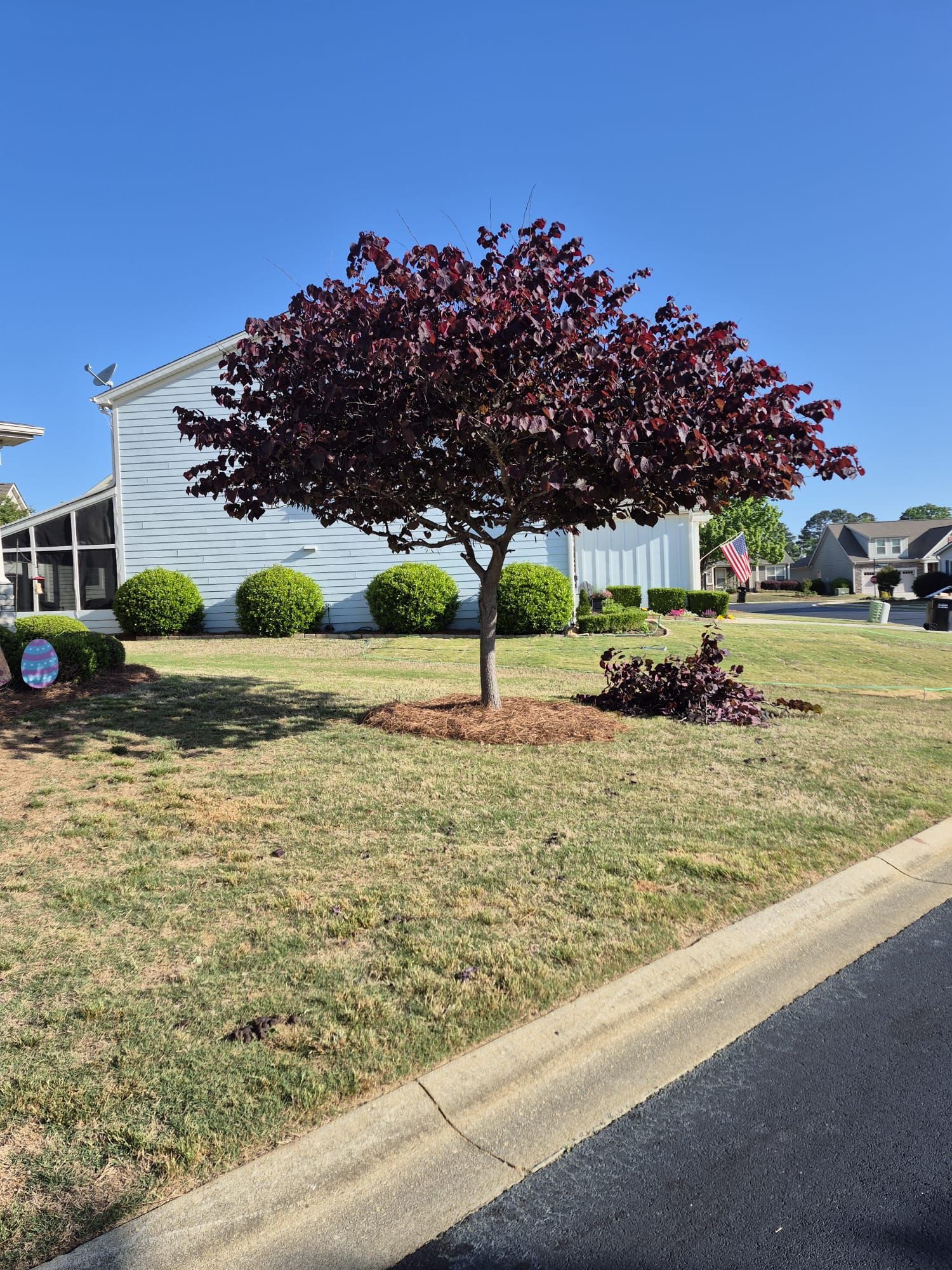 Escudero Landscaping project in the Greenville, SC area — photo 9