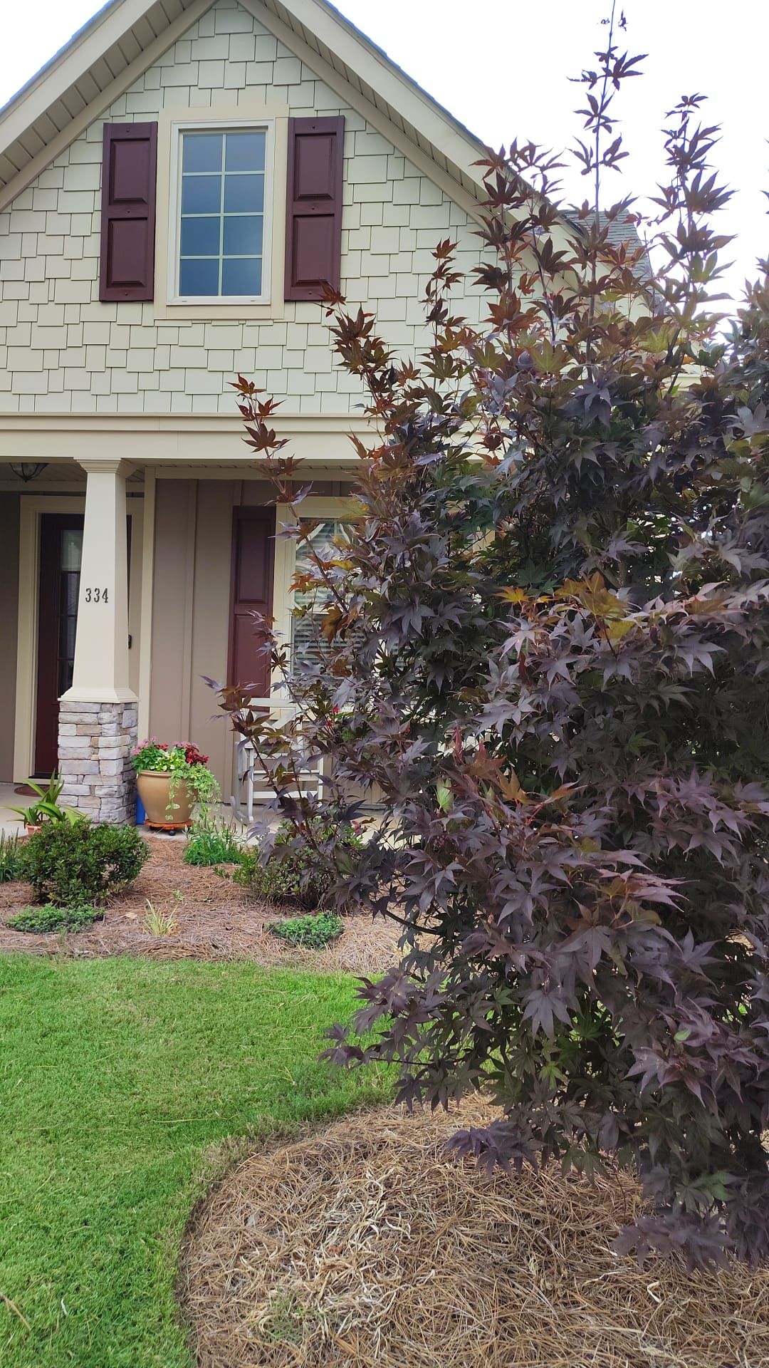 Escudero Landscaping project in the Greenville, SC area — photo 7
