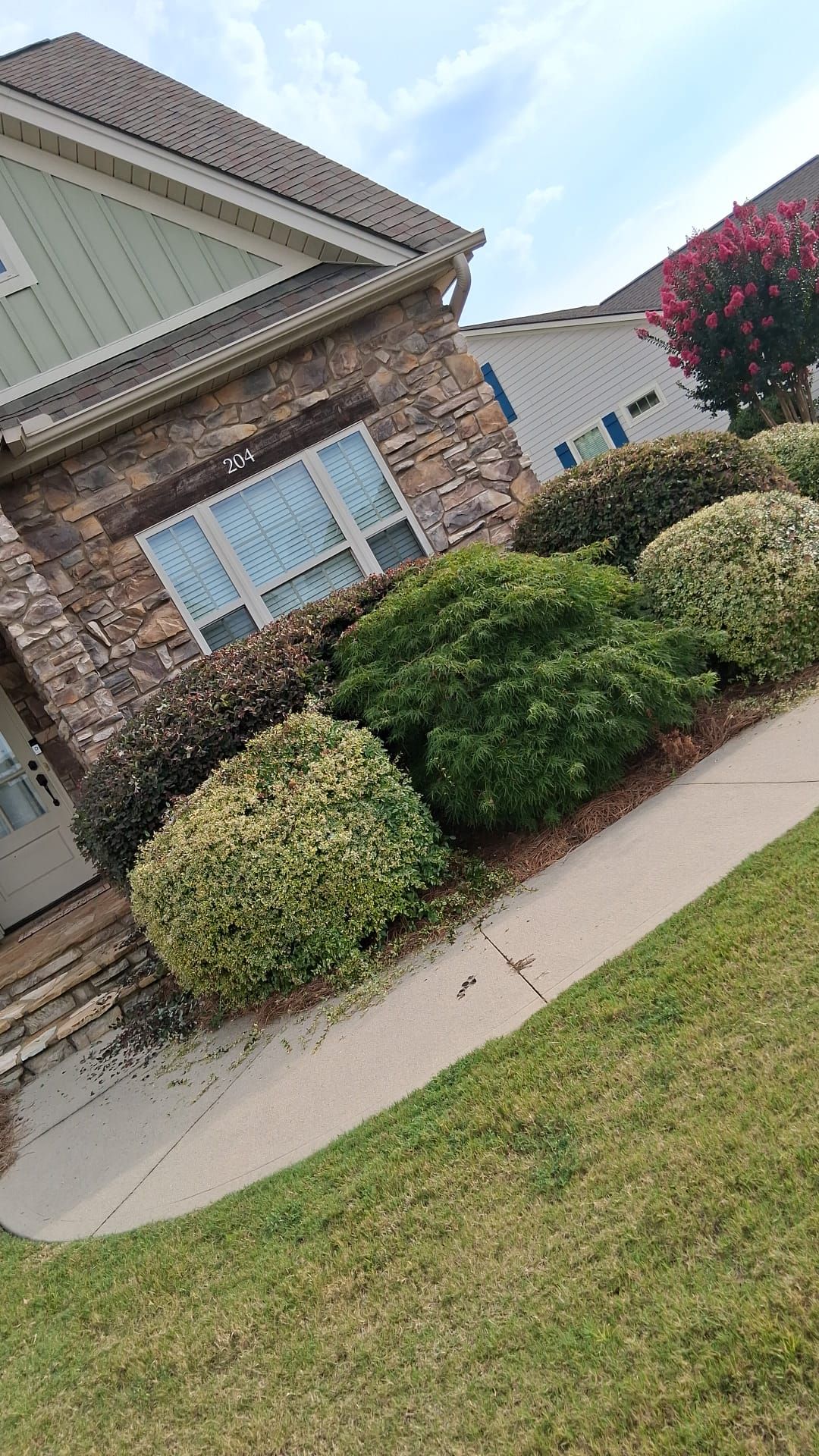 Escudero Landscaping project in the Greenville, SC area — photo 6