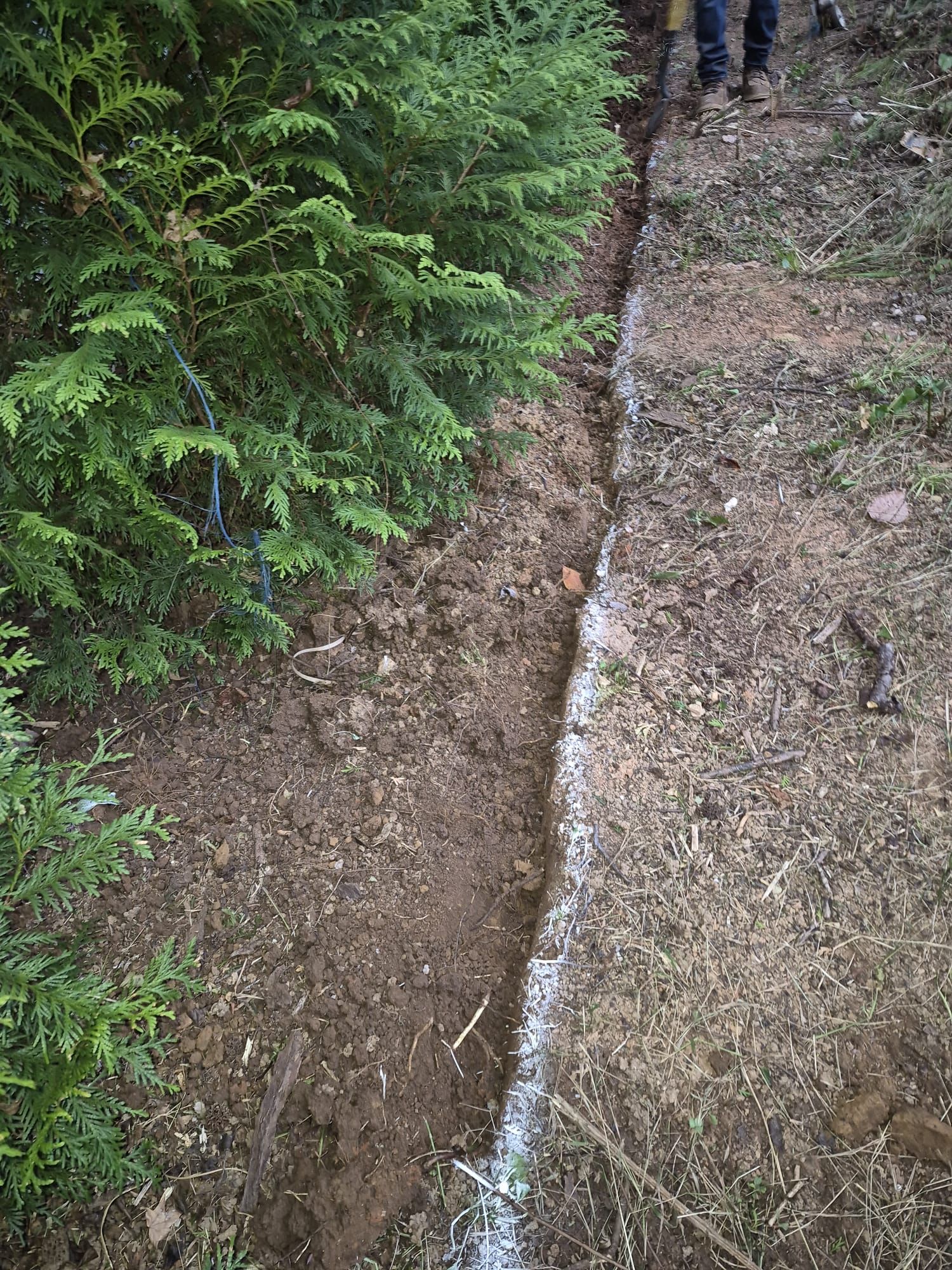 Escudero Landscaping project in the Greenville, SC area — photo 5