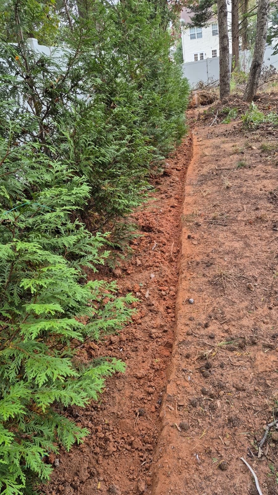 Escudero Landscaping project in the Greenville, SC area — photo 4