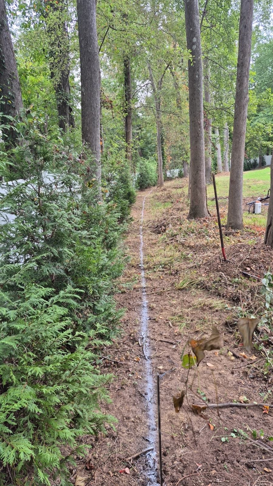 Escudero Landscaping project in the Greenville, SC area — photo 3