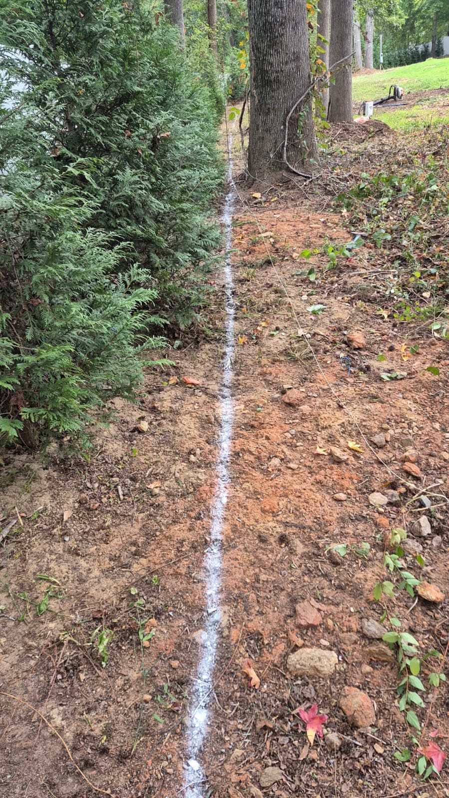 Escudero Landscaping project in the Greenville, SC area — photo 1