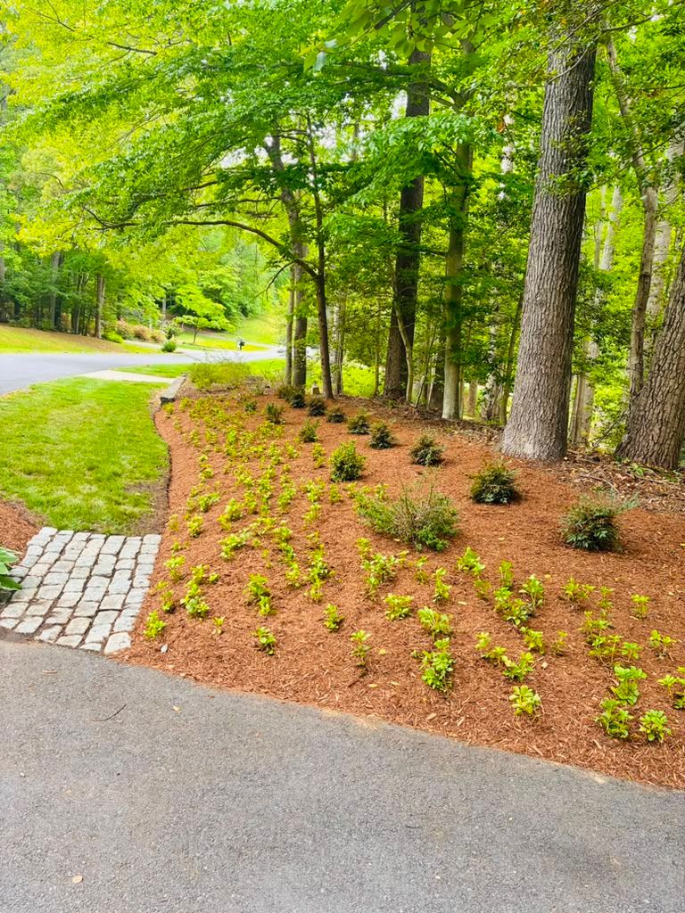 Landscaping work by Floy'd Landscaping — photo 91 of 94