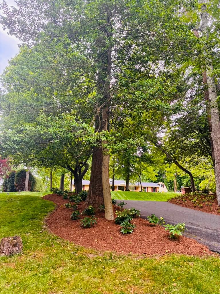 Landscaping work by Floy'd Landscaping — photo 90 of 94