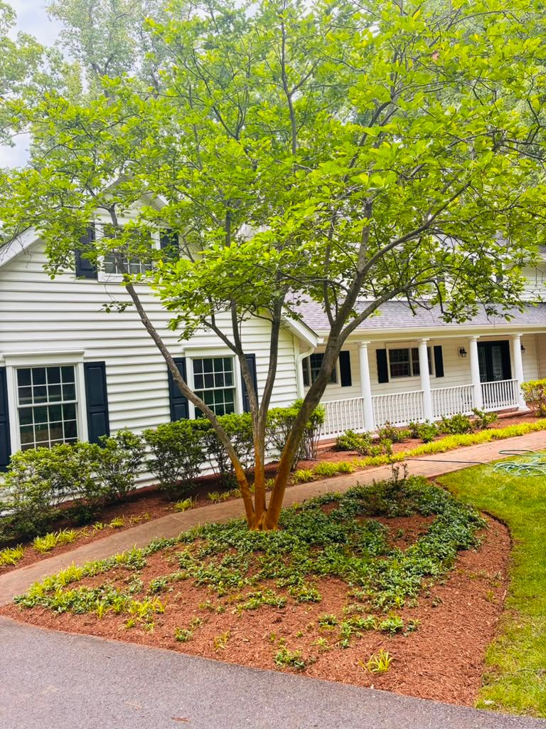 Landscaping work by Floy'd Landscaping — photo 89 of 94