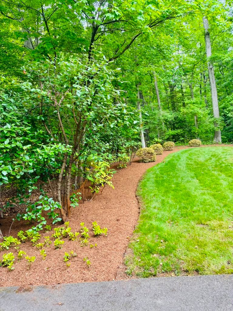 Landscaping work by Floy'd Landscaping — photo 88 of 94