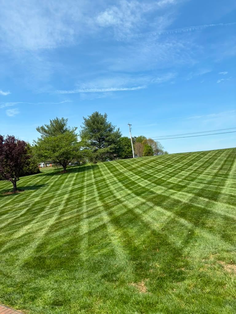Lawn Mowing