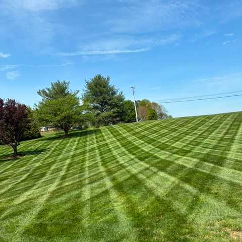 Lawn Mowing