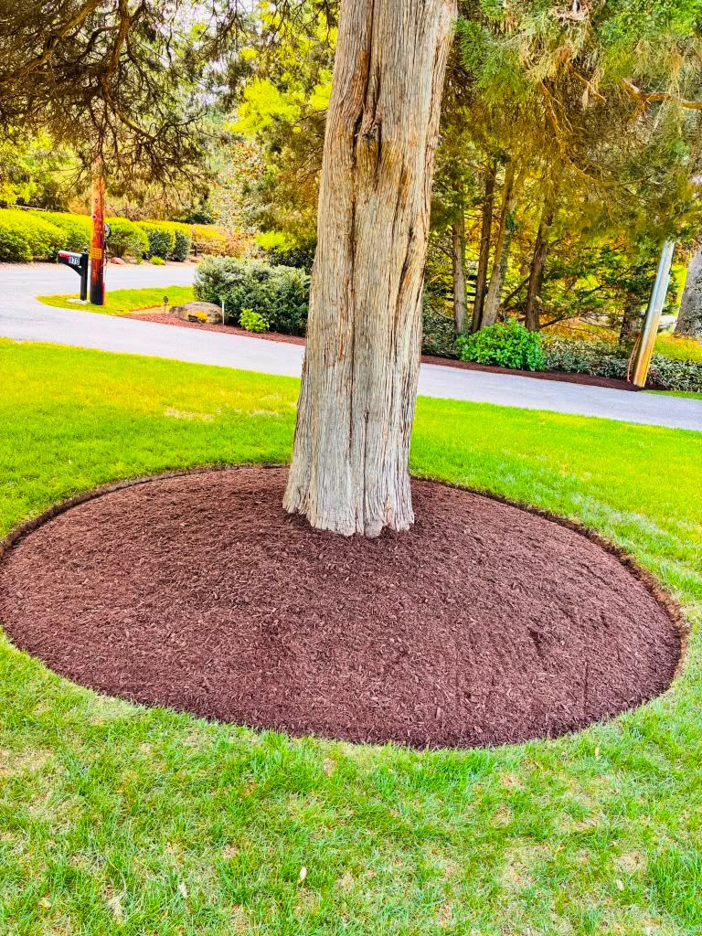 Mulch Installation