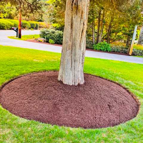 Mulch Installation