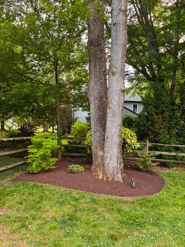 Landscaping work by Floy'd Landscaping — photo 53 of 94