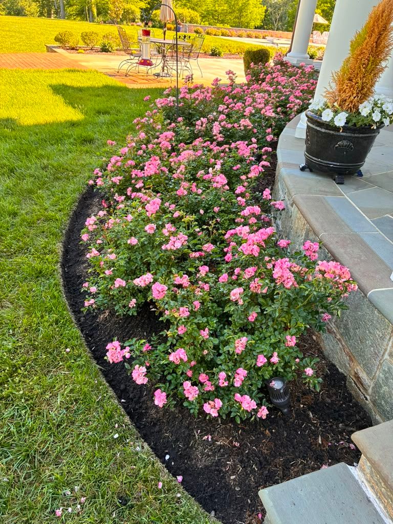 Flower Planting