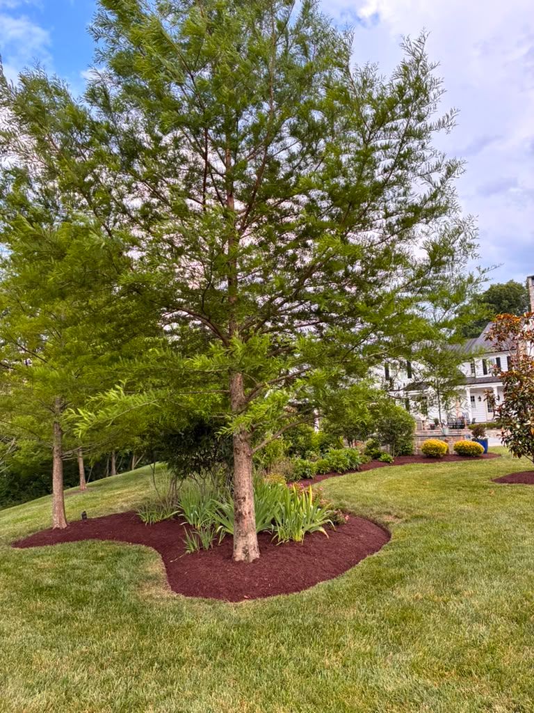 Landscaping work by Floy'd Landscaping — photo 23 of 94