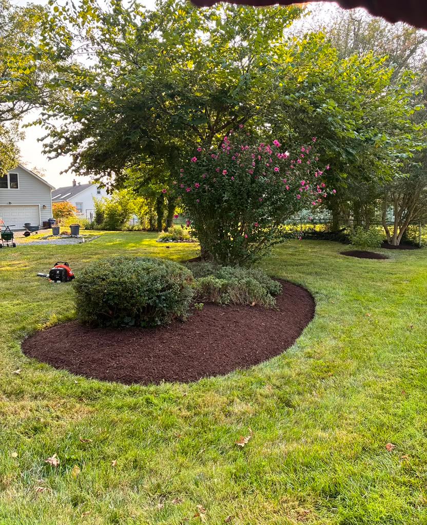Landscaping work by Floy'd Landscaping — photo 14 of 94
