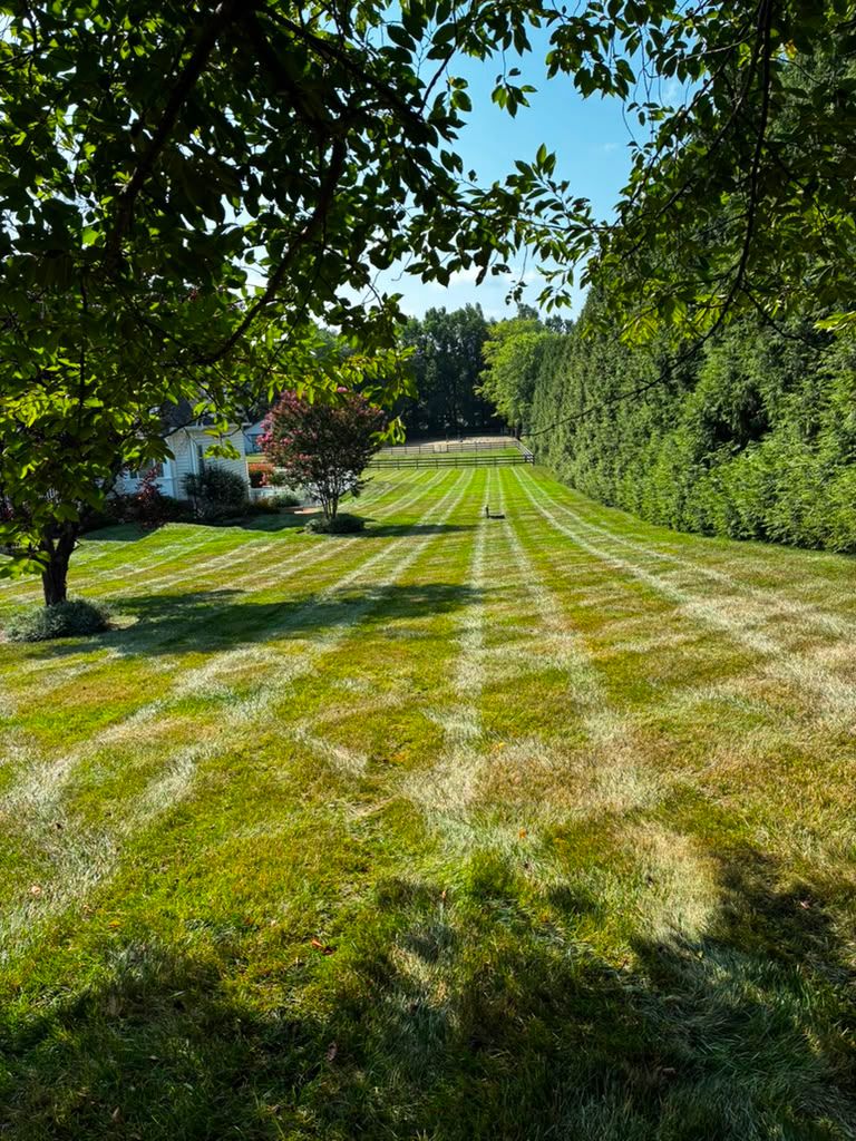 Landscaping work by Floy'd Landscaping — photo 9 of 94