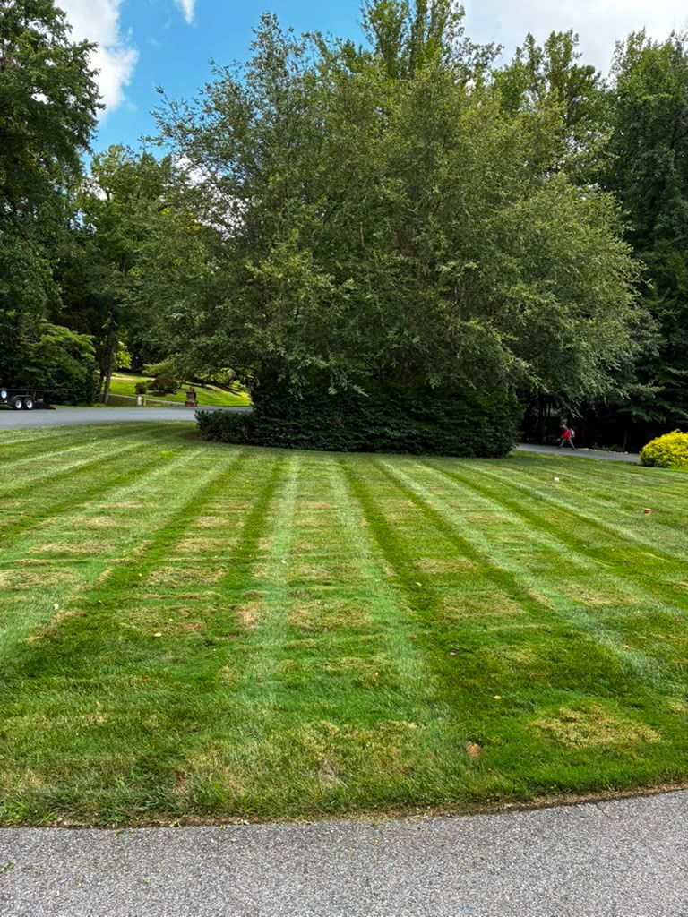 Landscaping work by Floy'd Landscaping — photo 7 of 94