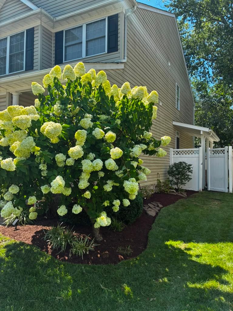 Landscaping work by Floy'd Landscaping — photo 5 of 94