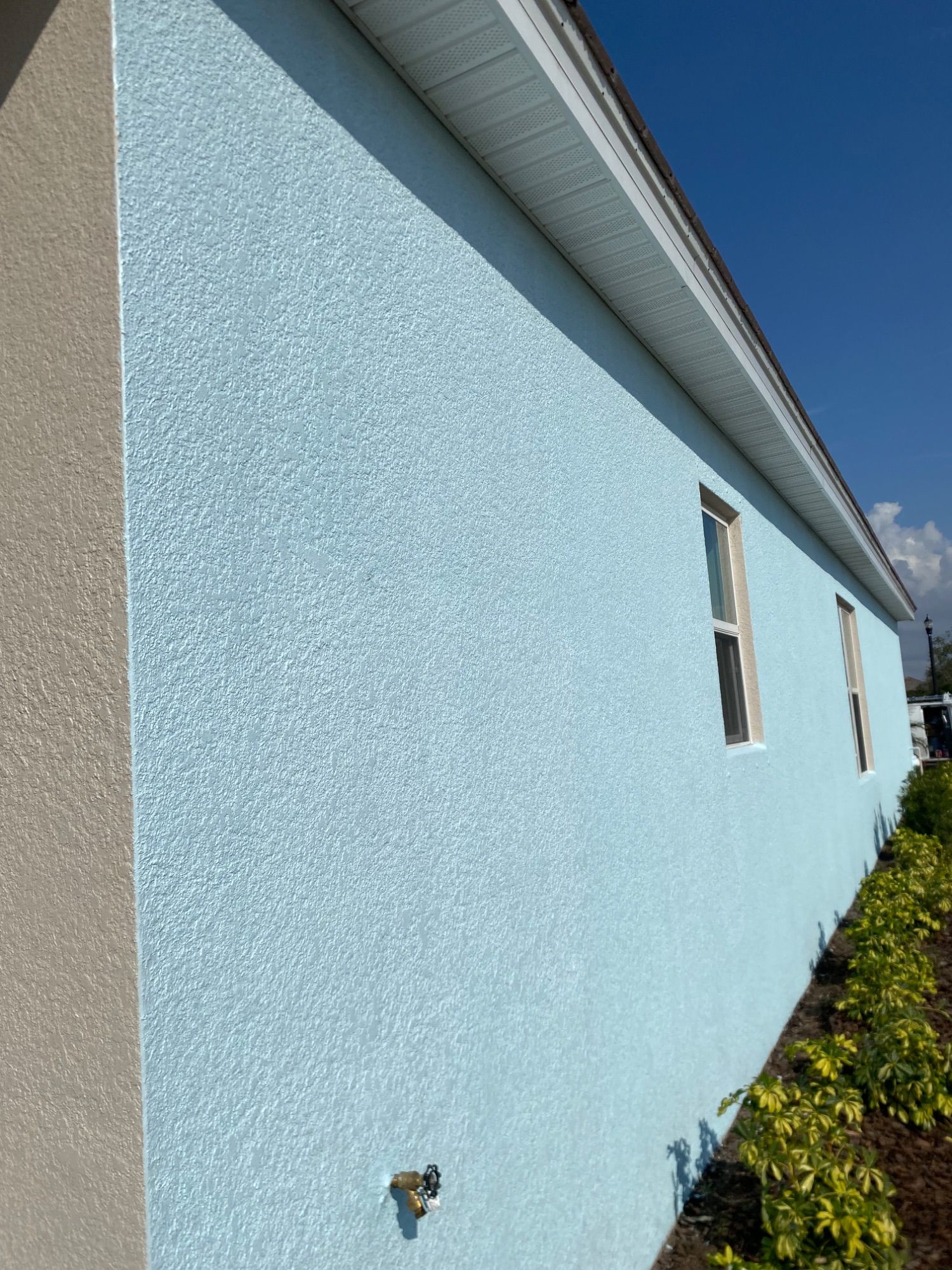 GLD Painting Professional project photo 14