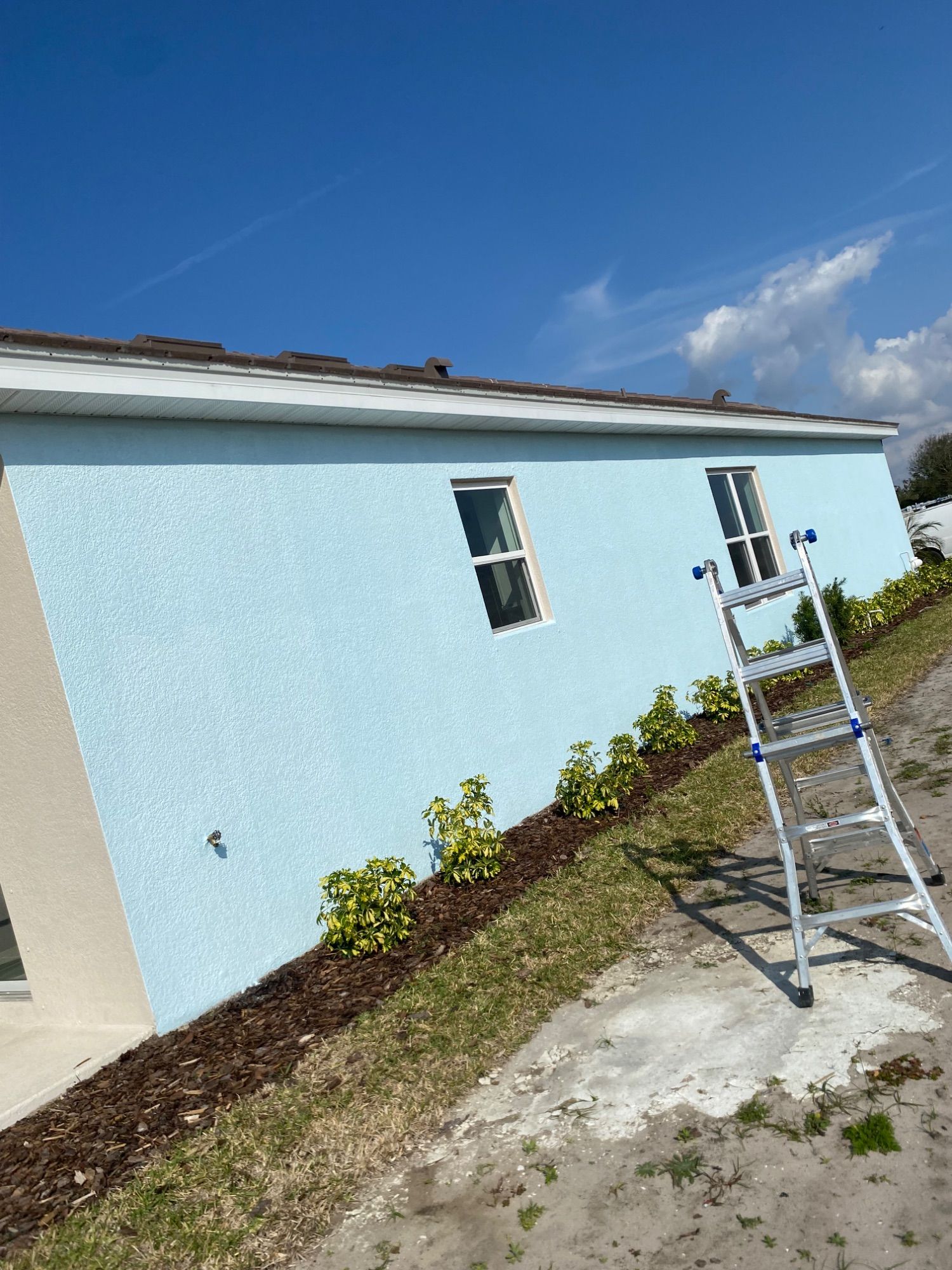 GLD Painting Professional project photo 12