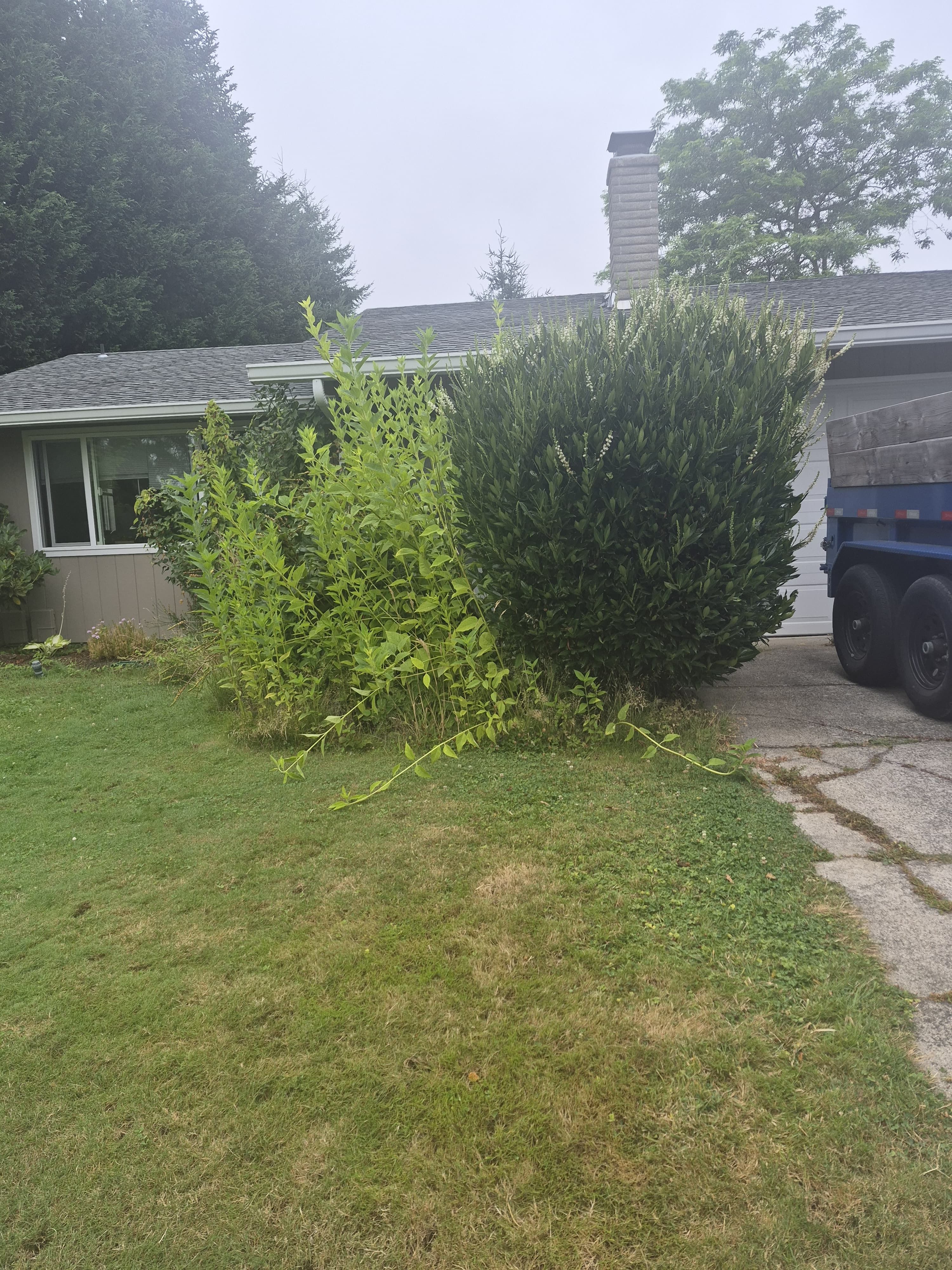 Goodfellas Landscape project photo 17