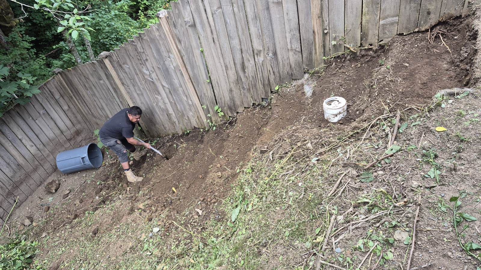 Clearing an Overgrown Yard: What to Expect and What It Costs