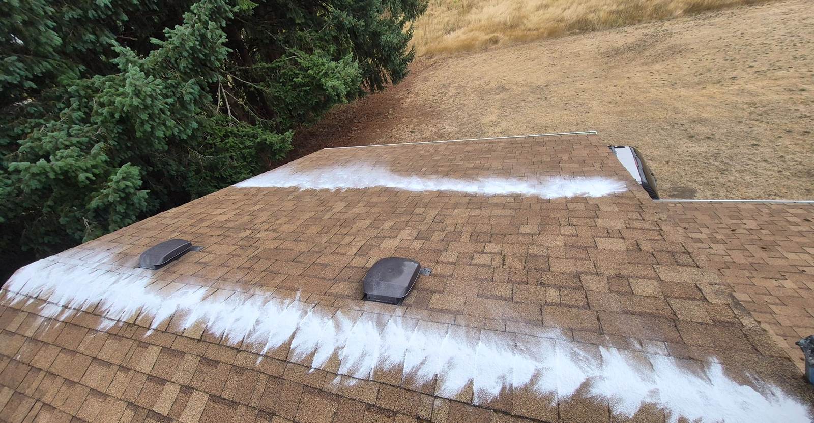 A composition roof cleaned of moss and treated by Goodfellas Landscape