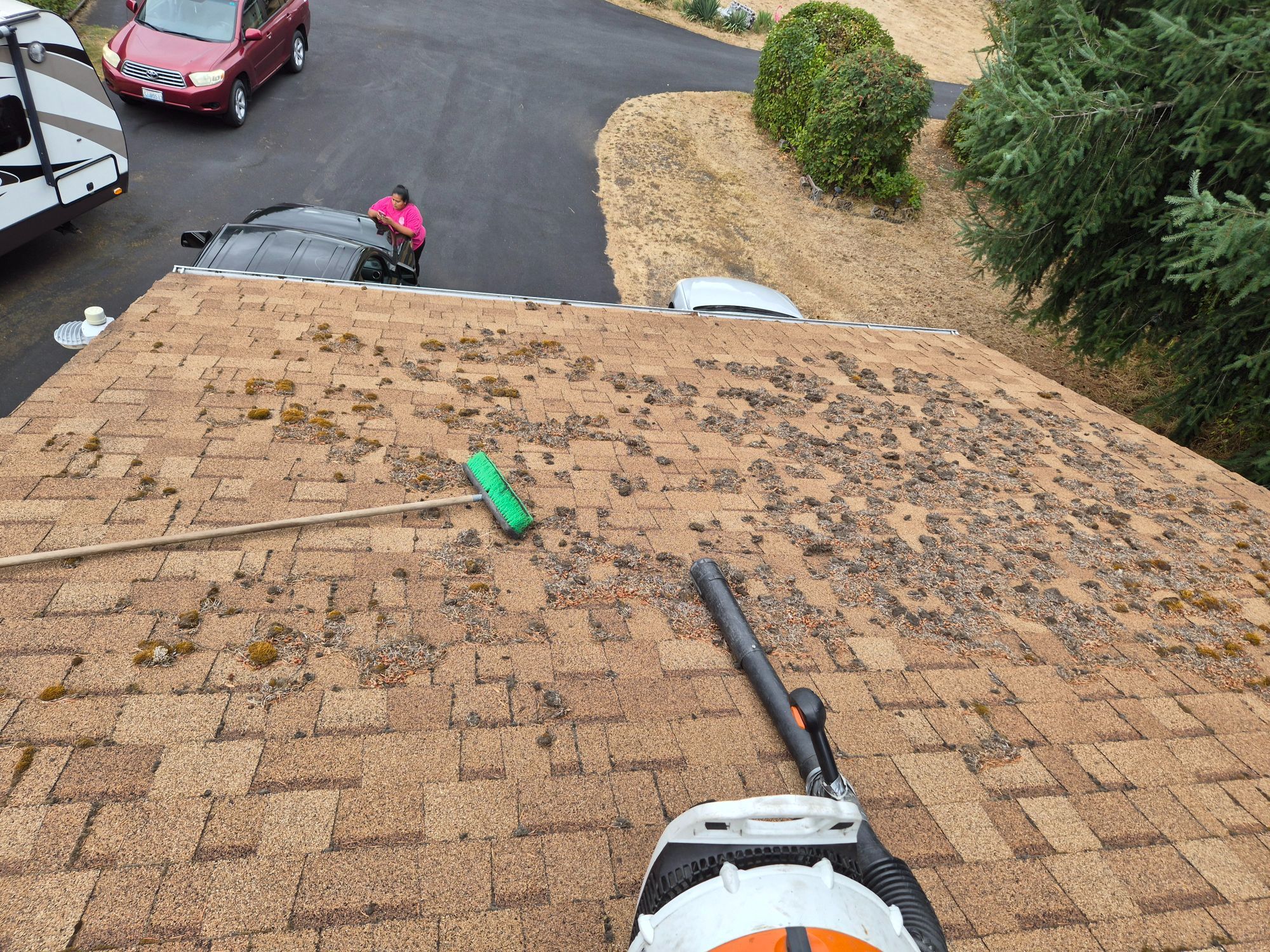 Roof & Gutter Cleaning
