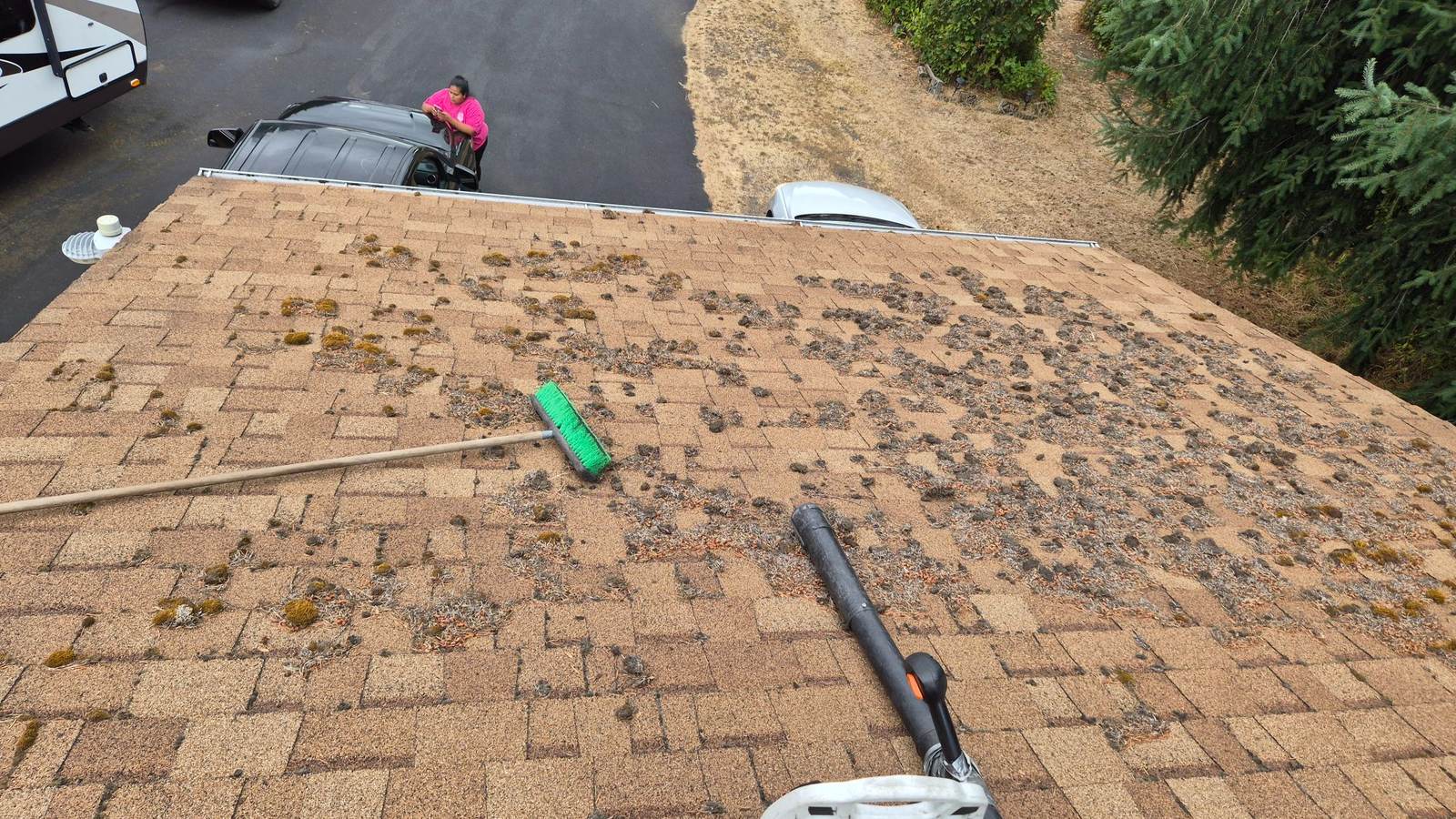 Roof & Gutter Cleaning