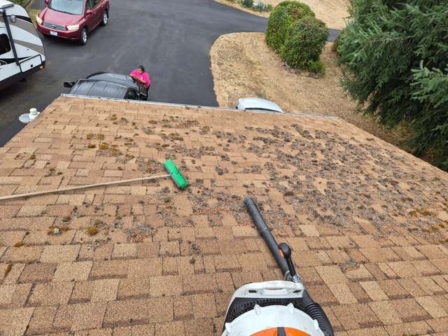 Roof & Gutter Cleaning