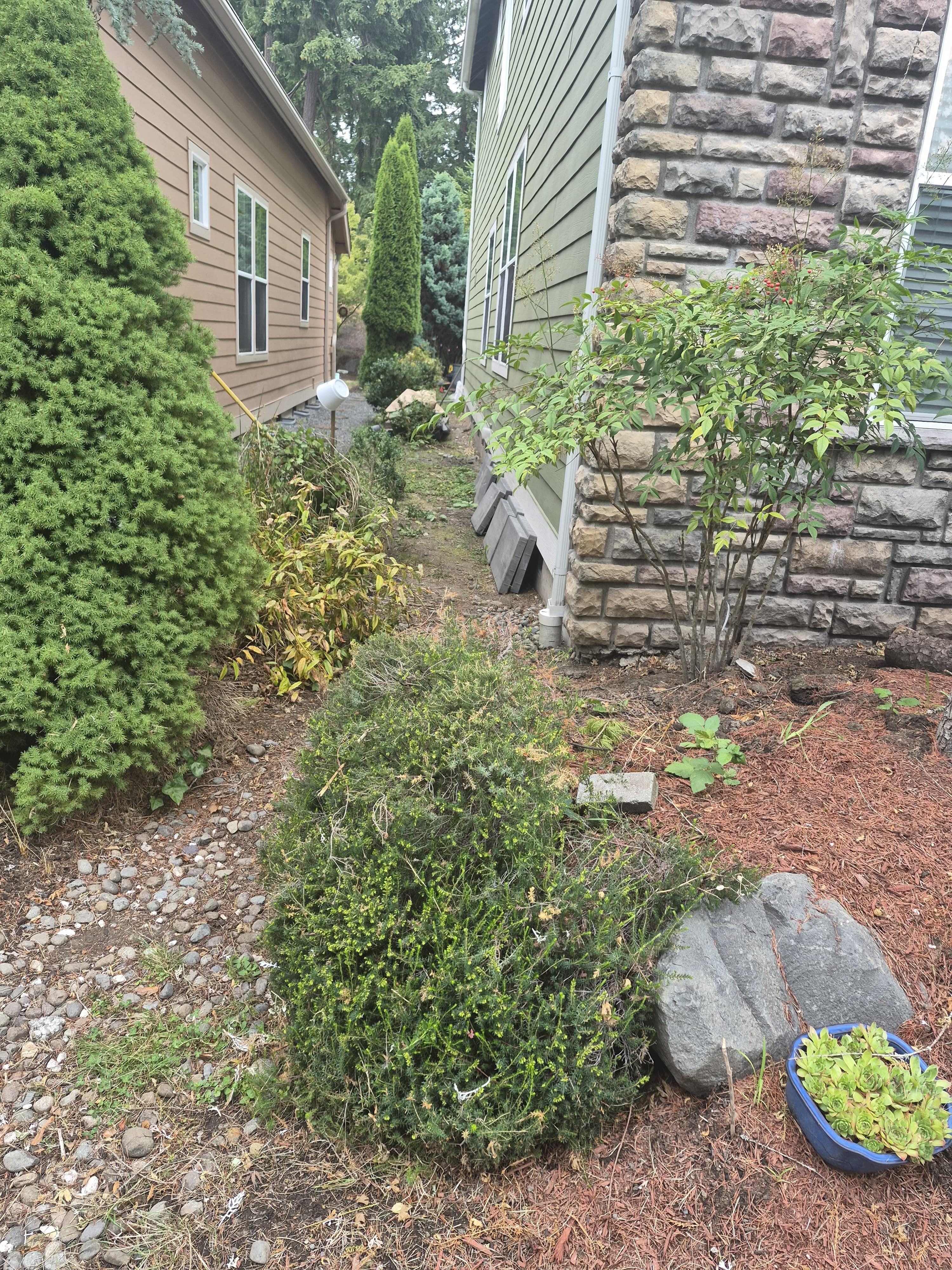 Goodfellas Landscape project photo 1