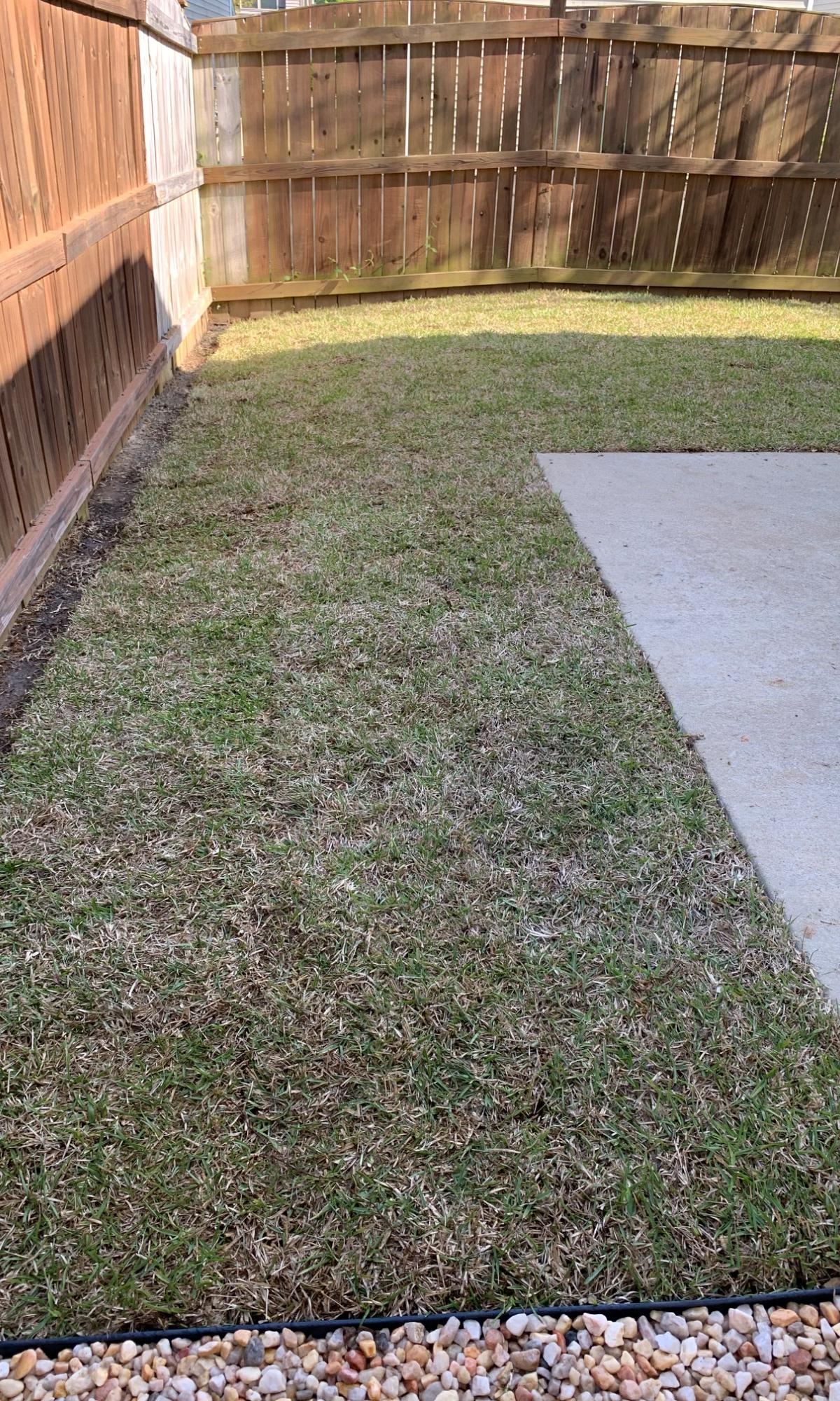 Lawn Care & Mowing