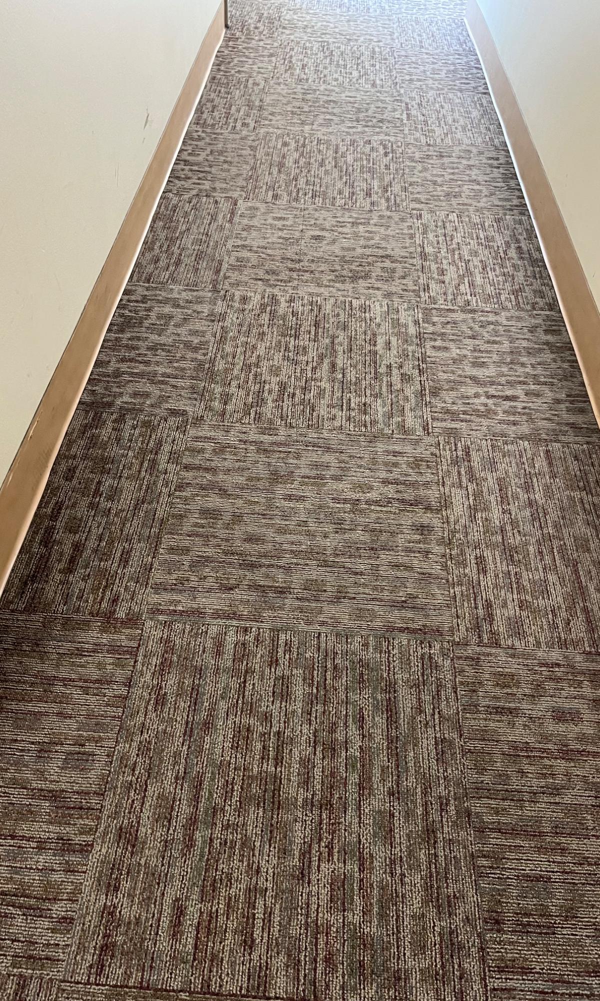 Building Cleaning / Limpieza de Edificios