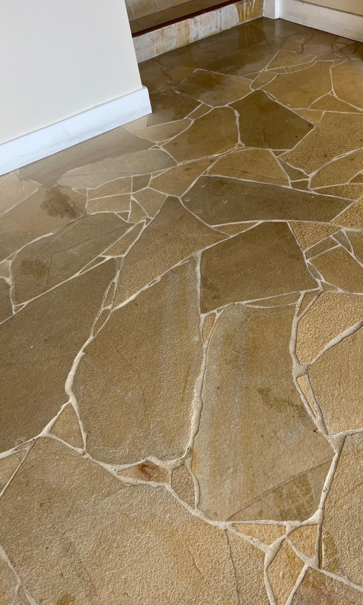 Floor Stripping & Waxing / Decapado y Encerado de Pisos