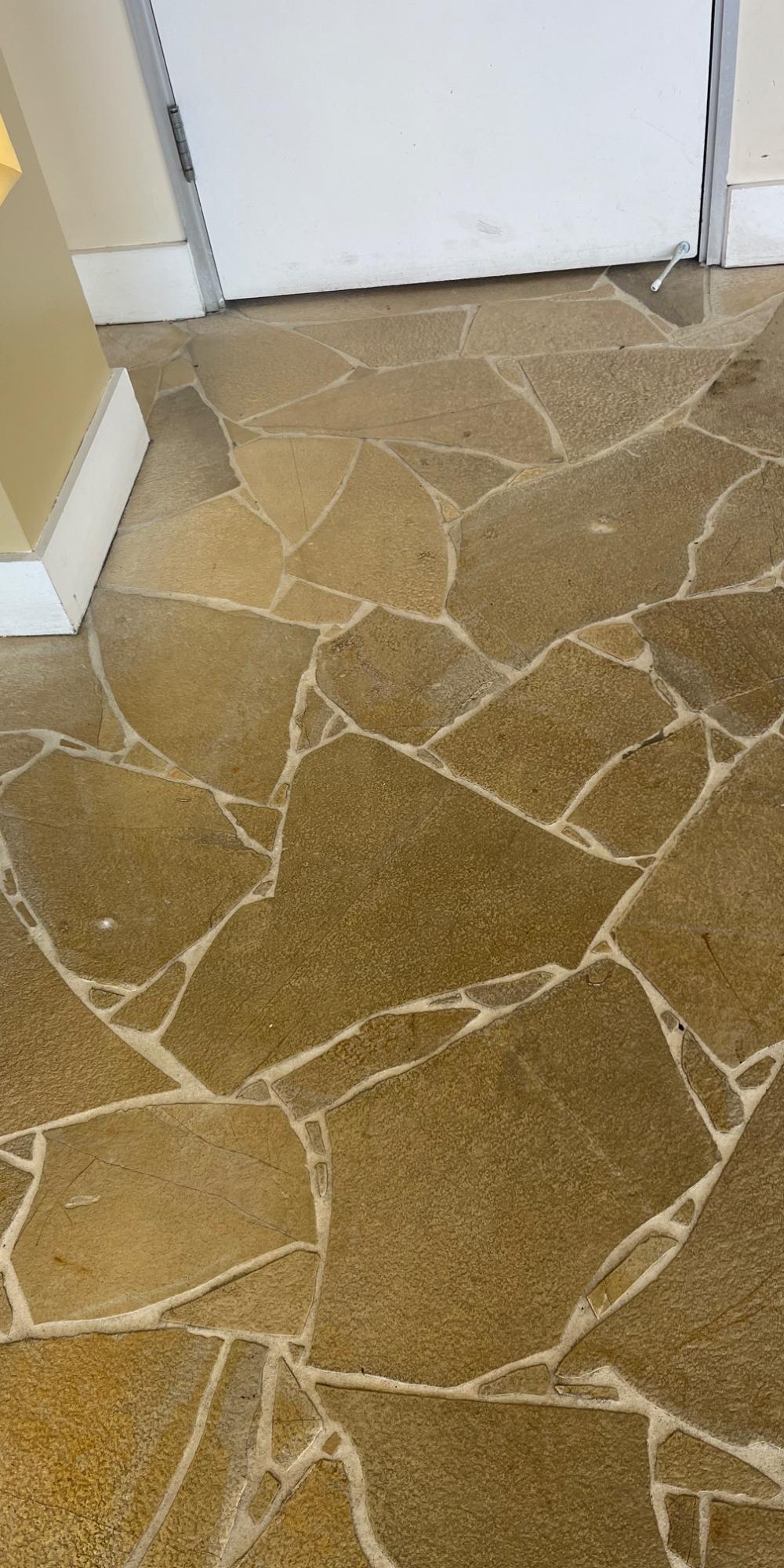 Strip, Scrub, or Recoat? Keeping Commercial Hard Floors Shining