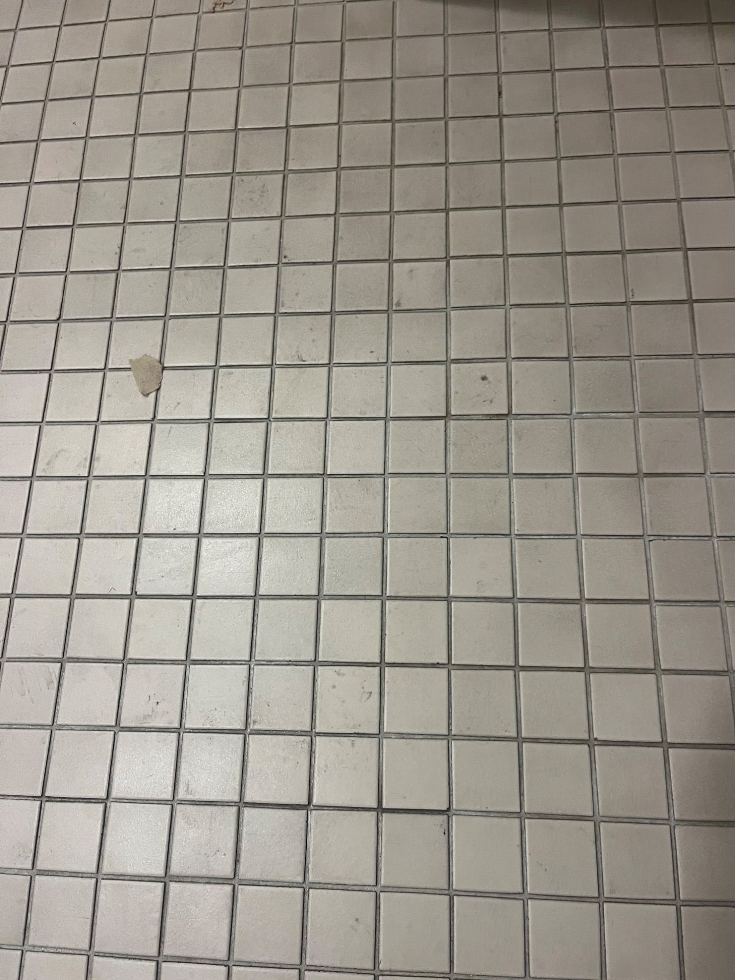 ICC Property Cleaning project photo 10